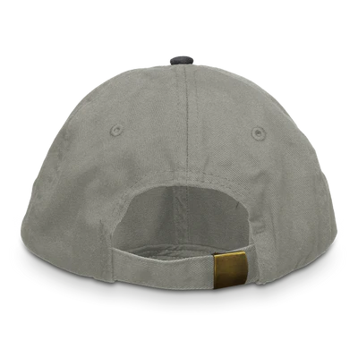 Pups In Trouble Dadwave Hat Grey